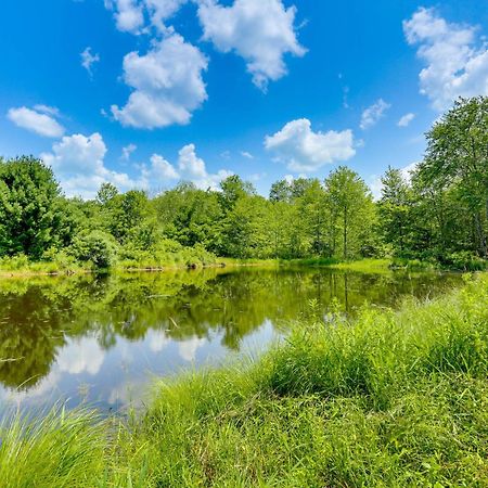 Secluded Poconos Cabin With Fire Pit On 75 Acres! อีสต์สเตราด์สเบิร์ก ภายนอก รูปภาพ