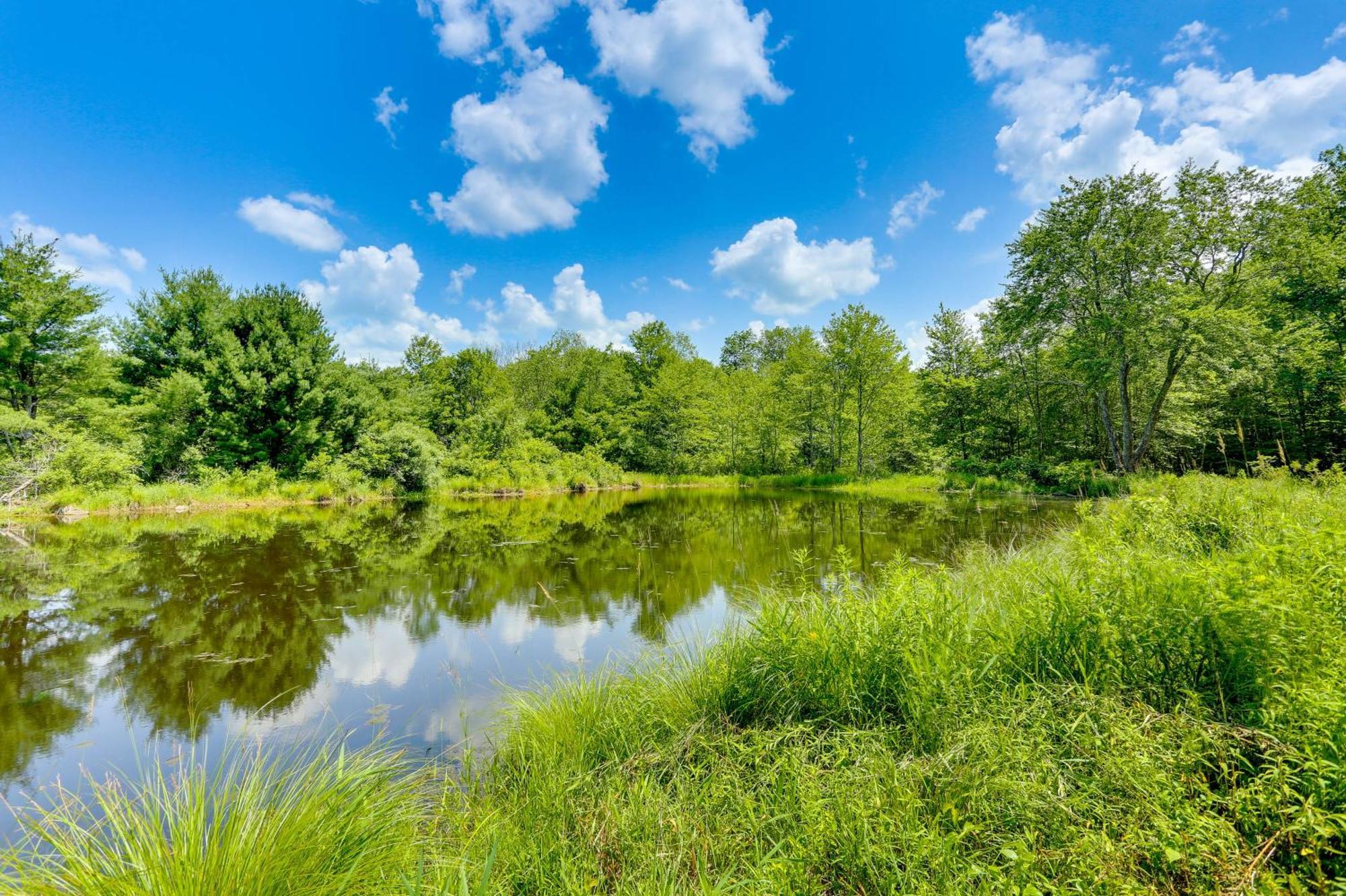 Secluded Poconos Cabin With Fire Pit On 75 Acres! อีสต์สเตราด์สเบิร์ก ภายนอก รูปภาพ